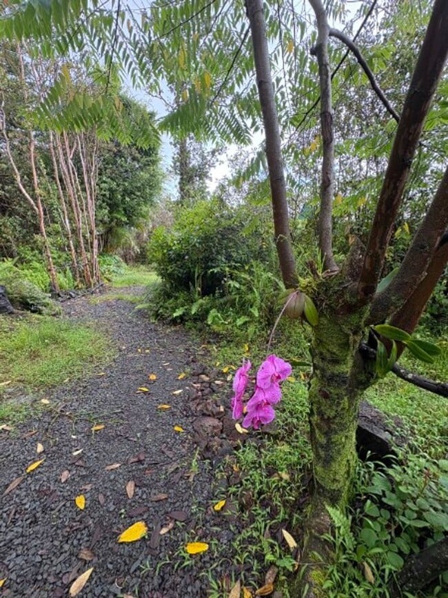 Building Photo - Fully Furnished 2BD Home | Fiber Internet | Pets OK | Yard Service Included | $1,950