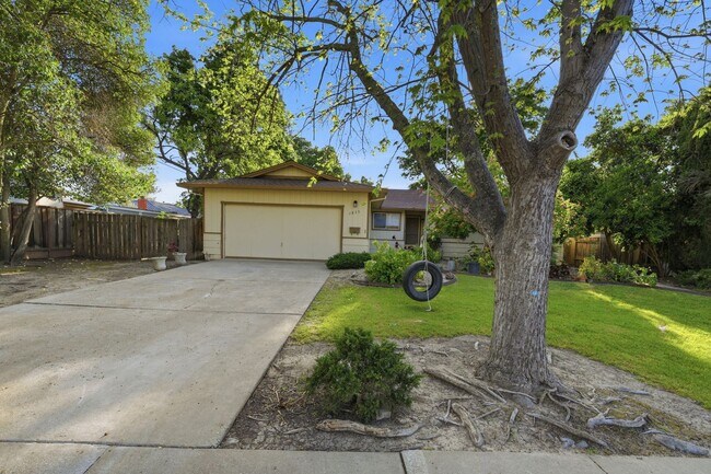 Building Photo - Spacious 4-bedroom 2-Bath in Desirable Area in Walnut Creek!