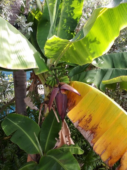 Building Photo - 6800 Maloney Ave