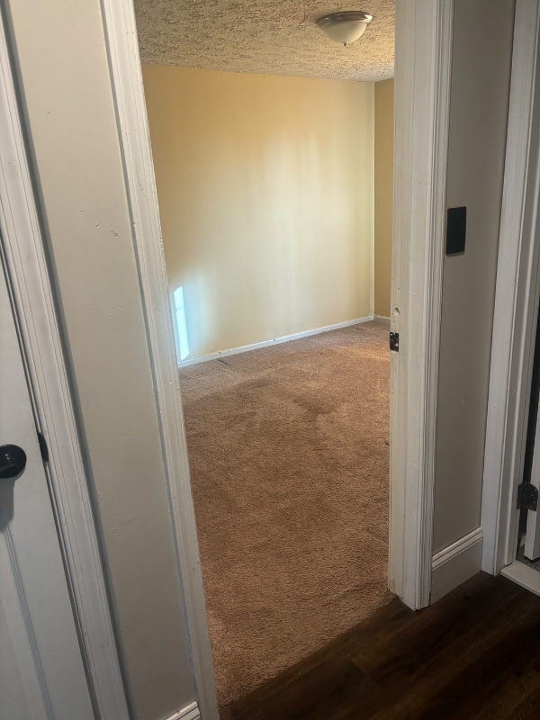 Building Photo - 3613 Ripplingbrook Ct