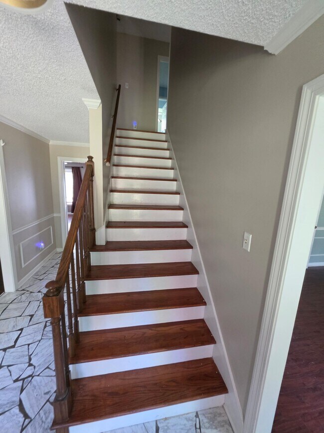 Building Photo - 4580 Shadowlawn Rd