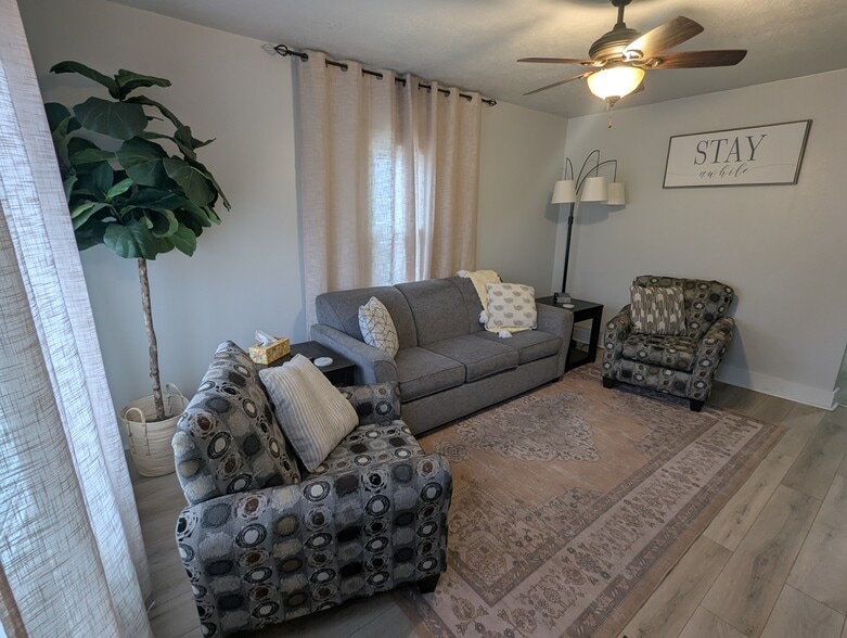 Living room - 217 S Elmwood Ave