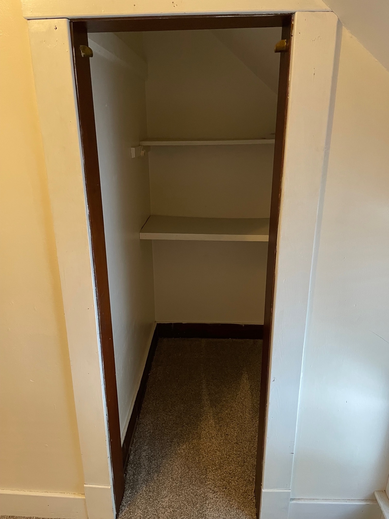 Bedroom 2 closet Upper - 1321 S 11th St