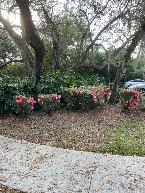 Building Photo - 700 Olde Camelot Cir