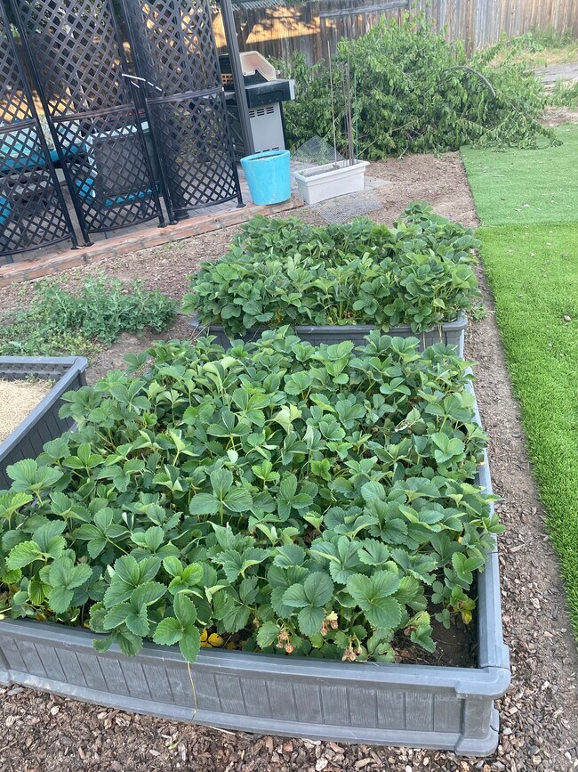 Building Photo - 4426 S Tinker Ave