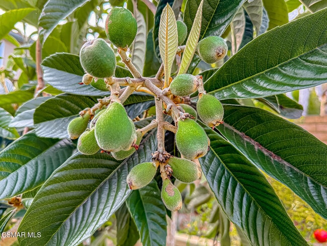 Building Photo - 780 Paseo De Leon