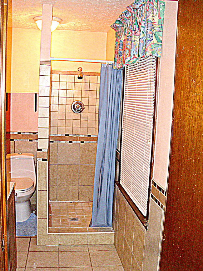 Shower - 2177 Kings Mountain Dr NE