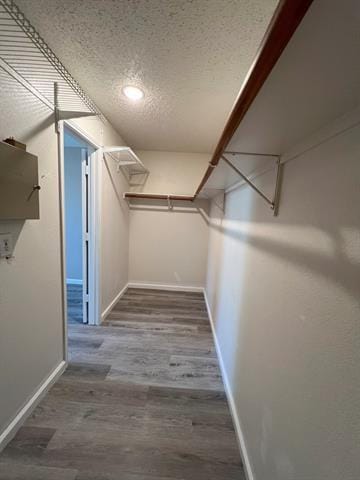 Building Photo - 8504 Seven Oaks Ln