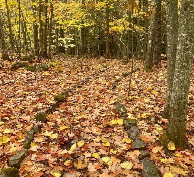 Building Photo - 1825 W Fair Ave