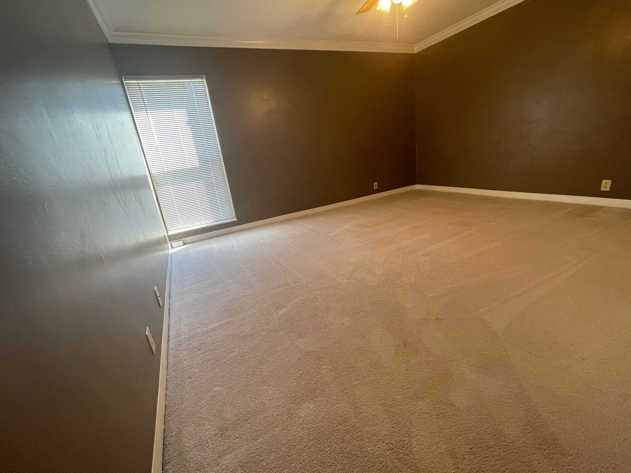 Bedroom 2 - 493 Canberra Dr