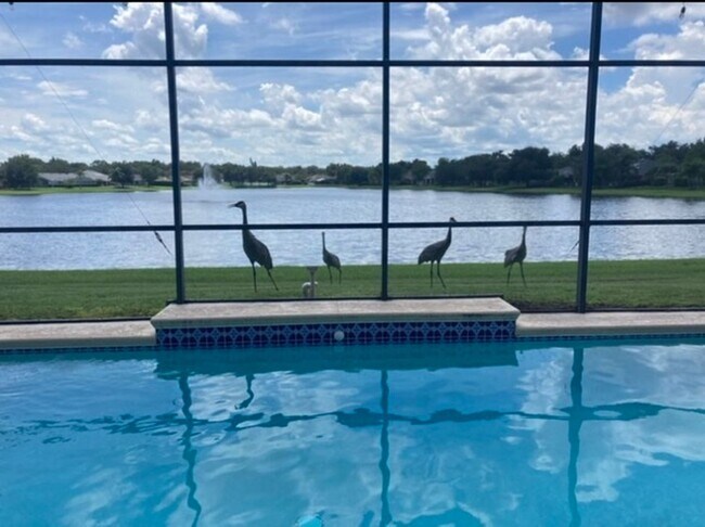 Building Photo - St. Cloud 4 Bedroom, 4 Bathroom Pool Home with Lake View