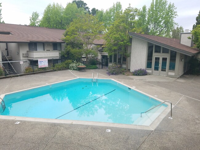Building Photo - 1 Bed 1 Bath Condo In Walnut Creek