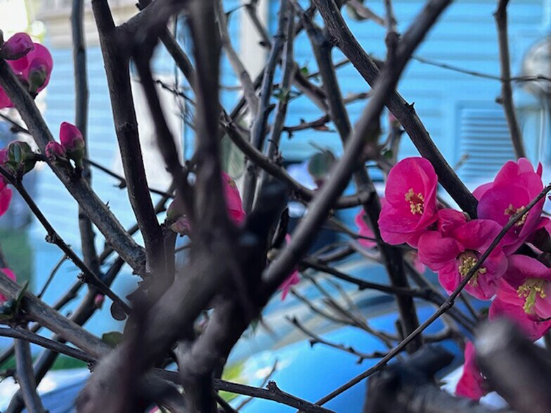 Building Photo - 709 32nd St