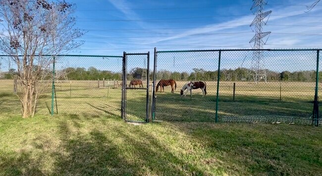 Building Photo - 10303 Greenwillow Dr