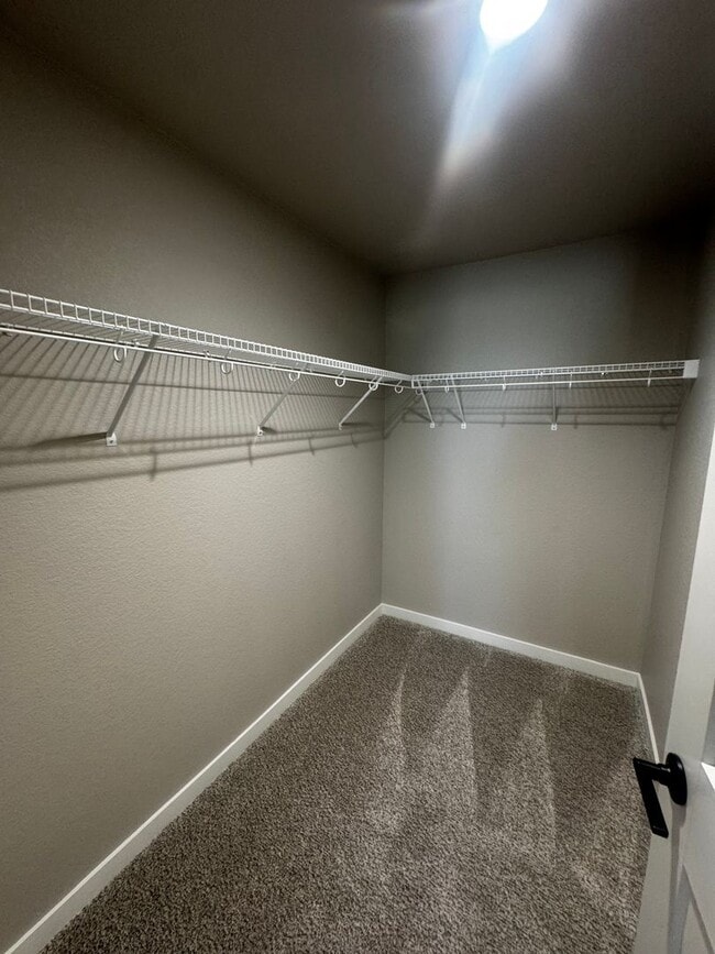 Building Photo - 9996 Antelope Ravine Dr