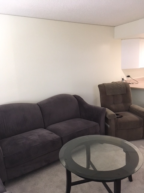 LR-couch and recliner with auto lift - 1314 Kalakaua Ave