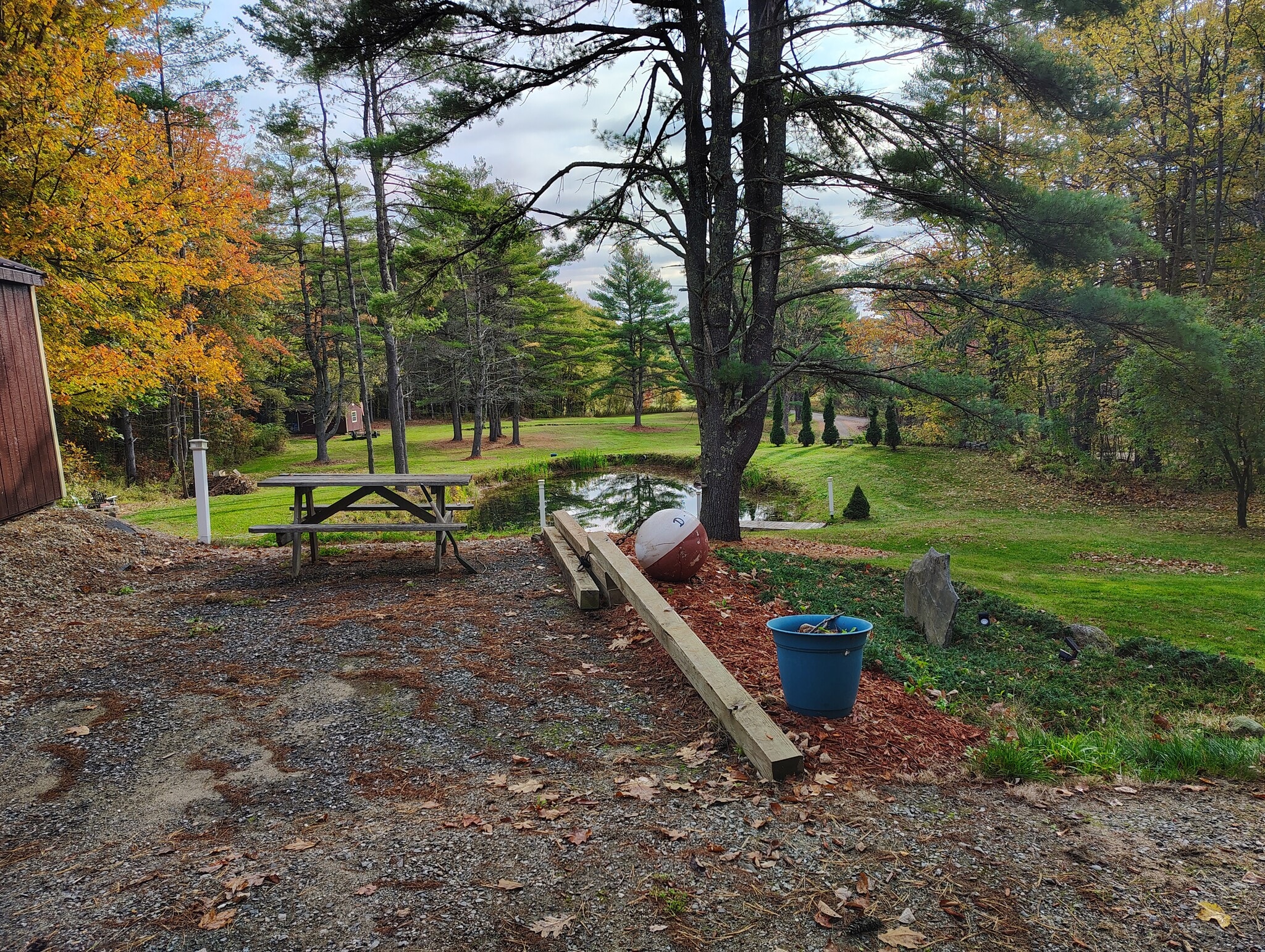Pond - 18 Buckwood Rd