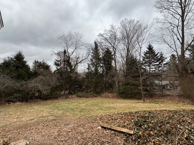 Side yard - 2 Champion Hill Rd