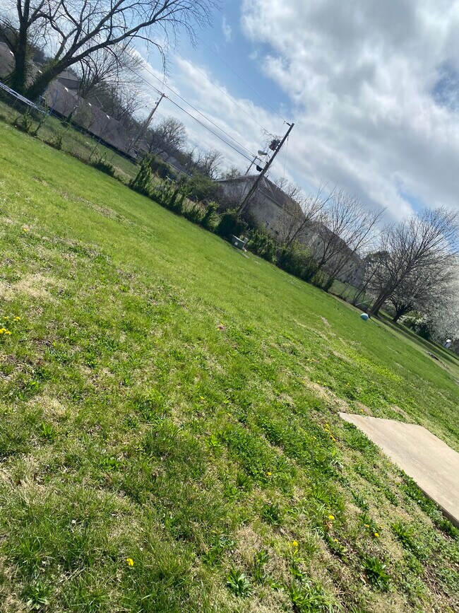 Back yard - 4524 Waterloo Dr