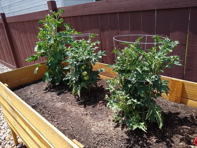 Building Photo - 6782 Grainery Rd