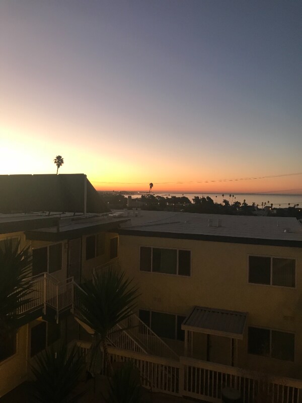 Building Photo - 855 Buena Vista St