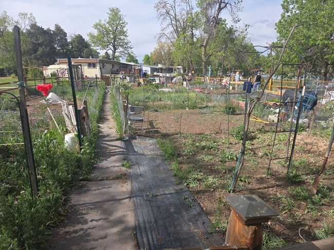 Building Photo - Charming 2 Bedroom Home in Prime Littleton Location