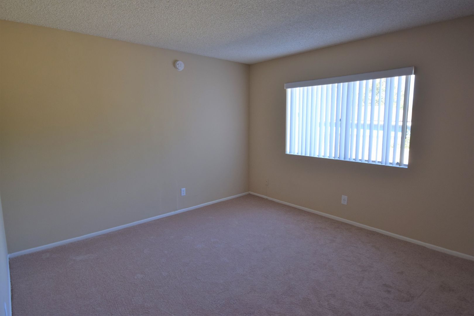 Building Photo - 12249 Oxnard St