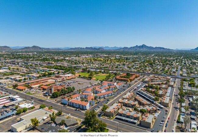 Building Photo - Palm Aire - Apartments in Phoenix, AZ (1BD)