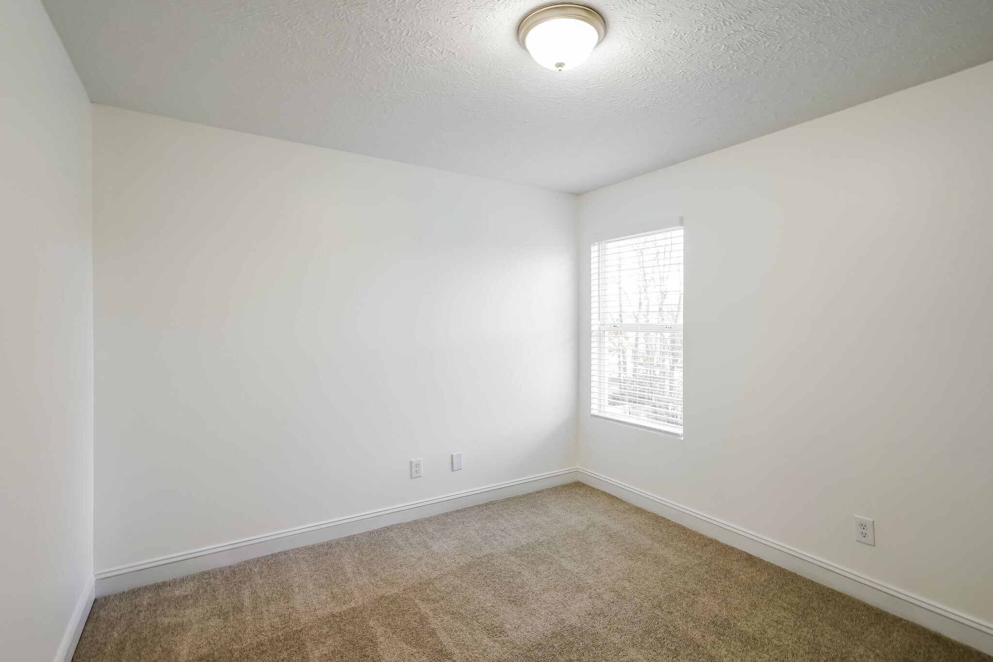 Building Photo - 5636 Dory Dr