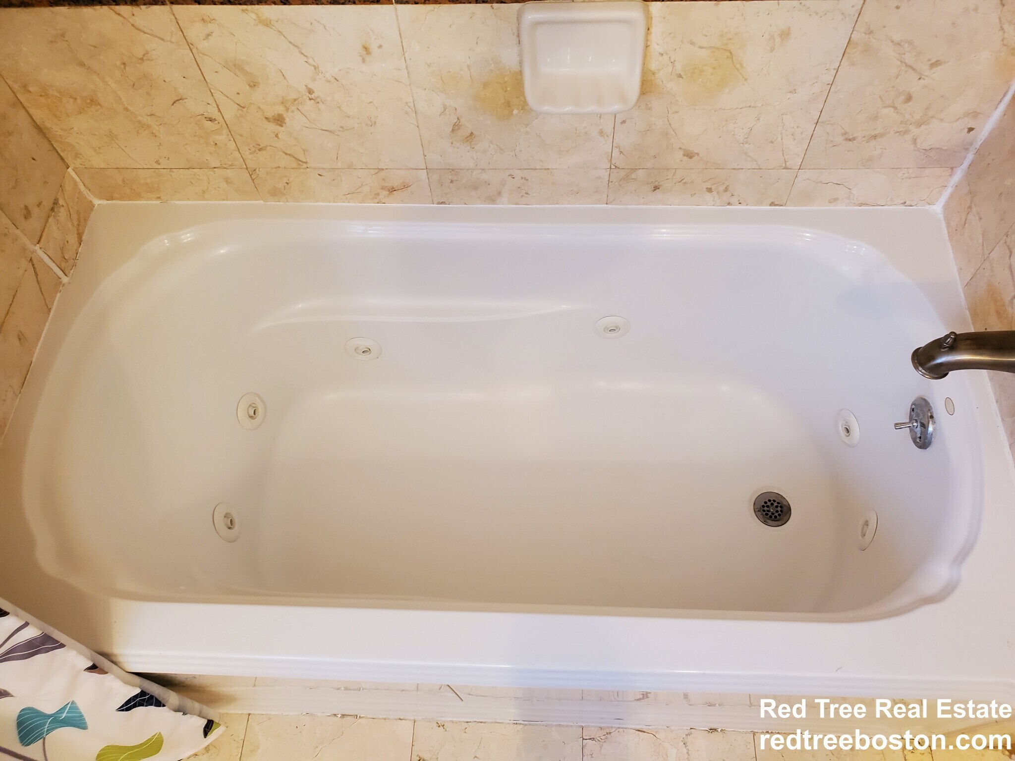 Building Photo - 8 White Ave