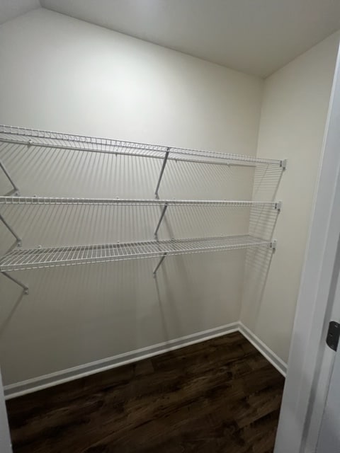 Building Photo - 323 Everleigh Cir