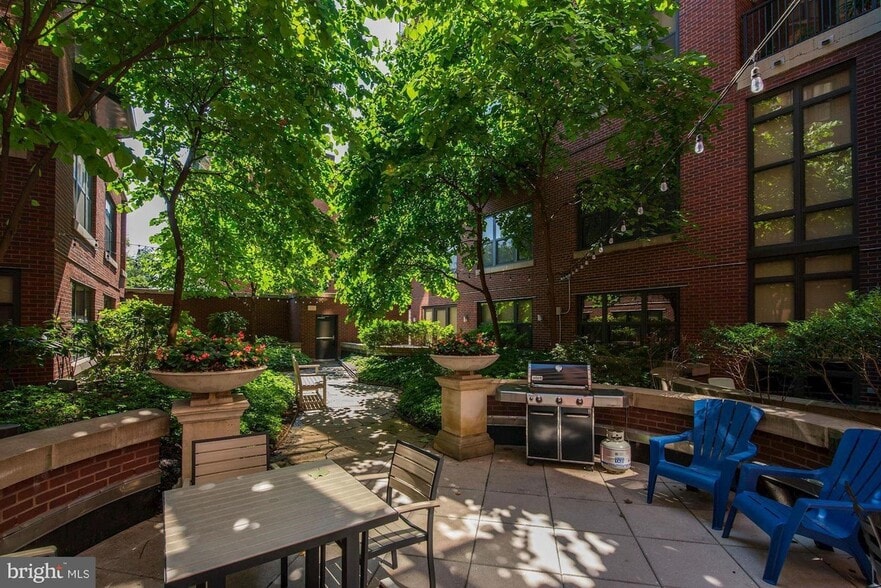 inner garden - 1390 Kenyon Street NW