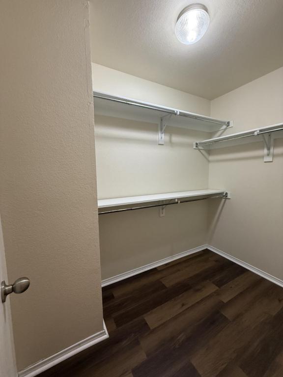 Building Photo - 5316 Joshua Ct