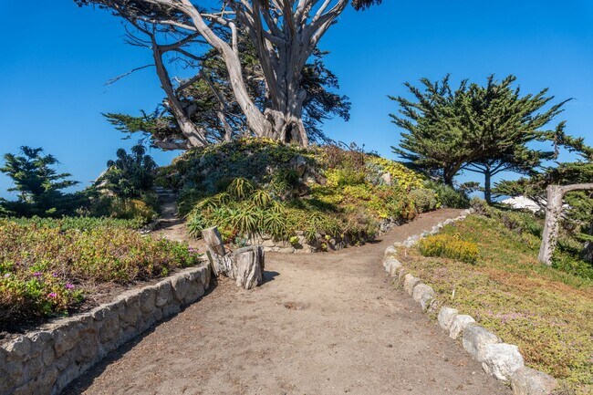 Building Photo - Bonnie's Point | Home Next to Point Lobos State Natural Reserve
