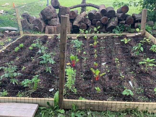 Building Photo - 94 Oakwood Ave