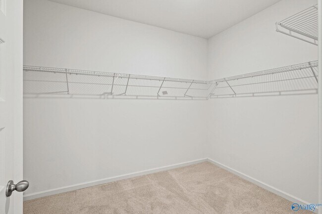 Building Photo - 3025 Specklebelly Wy