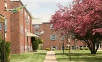 Building Photo - Rosedale Court Apartments