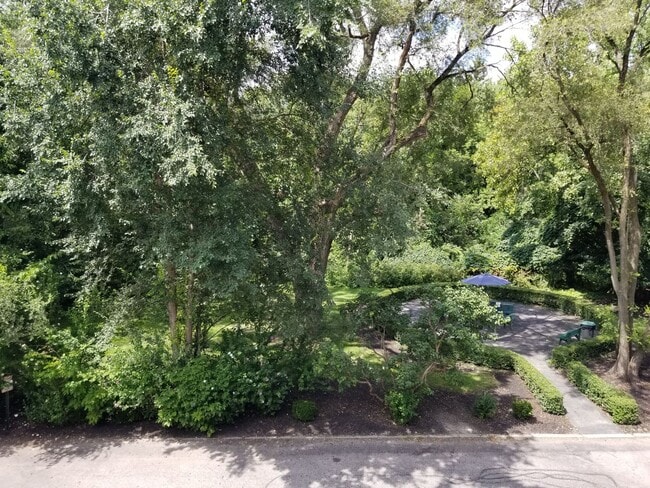 Building Photo - Mayflower Condo for Rent