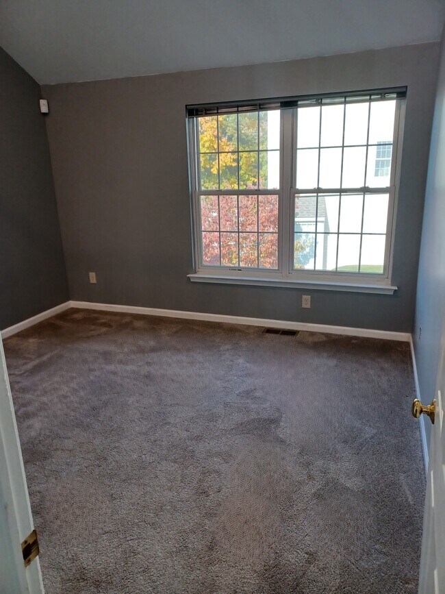 Upstairs large master bedroom with walk-in closet - 116 E Moreland Ave