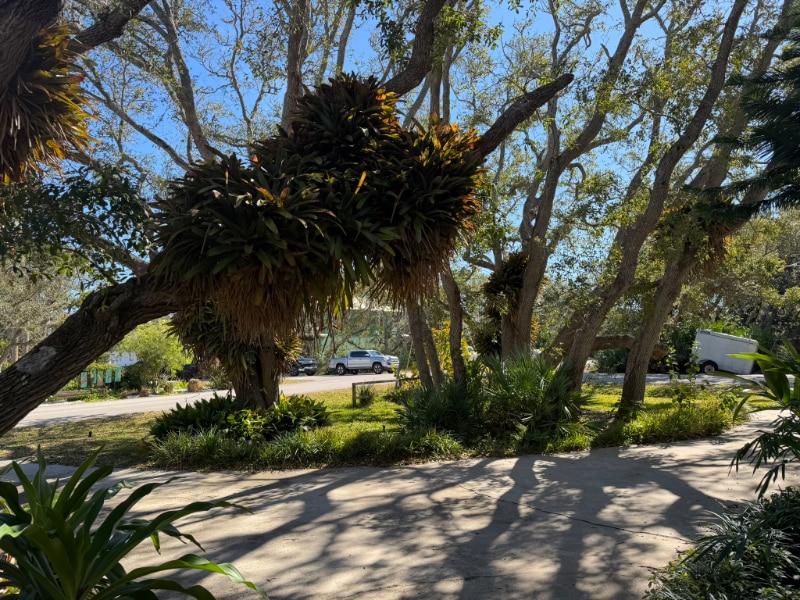 Building Photo - 404 Fifteenth St