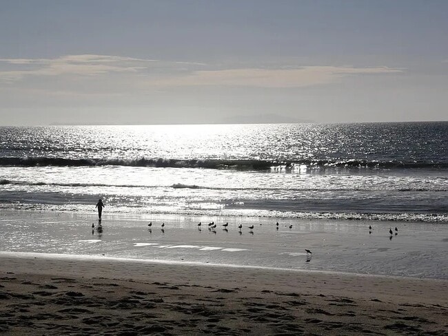 Building Photo - 5037 Terramar Way