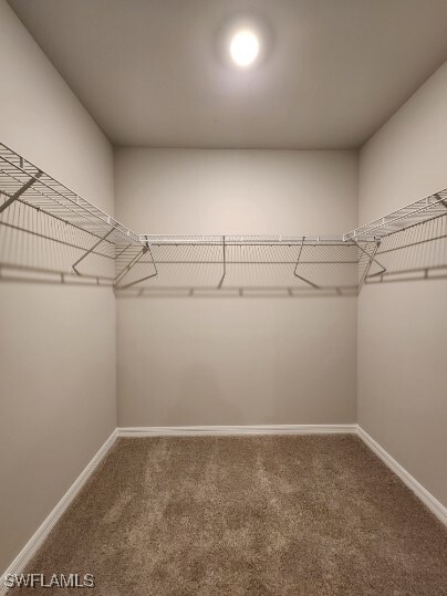 Building Photo - 3635 Rollingwater Wy