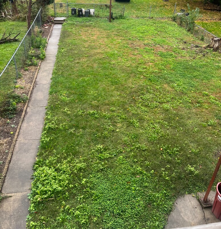 Building Photo - 128-130 Barney St