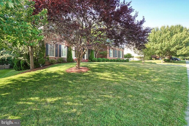 Building Photo - 6430 Bellevue Pl