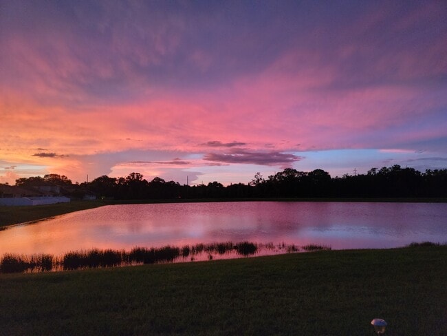 Building Photo - 11808 Thicket Wood Dr