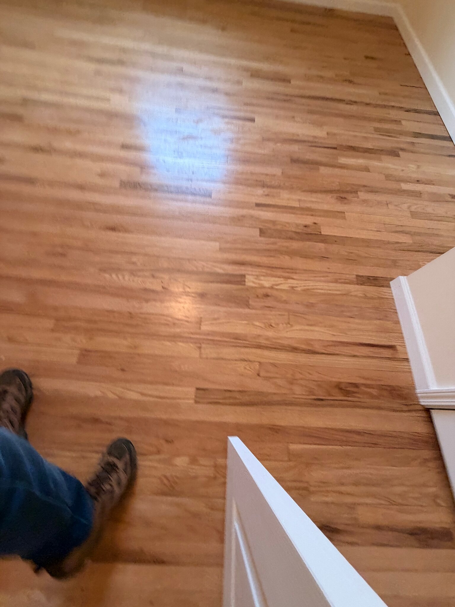 Hardwood floors - 214 Perry St