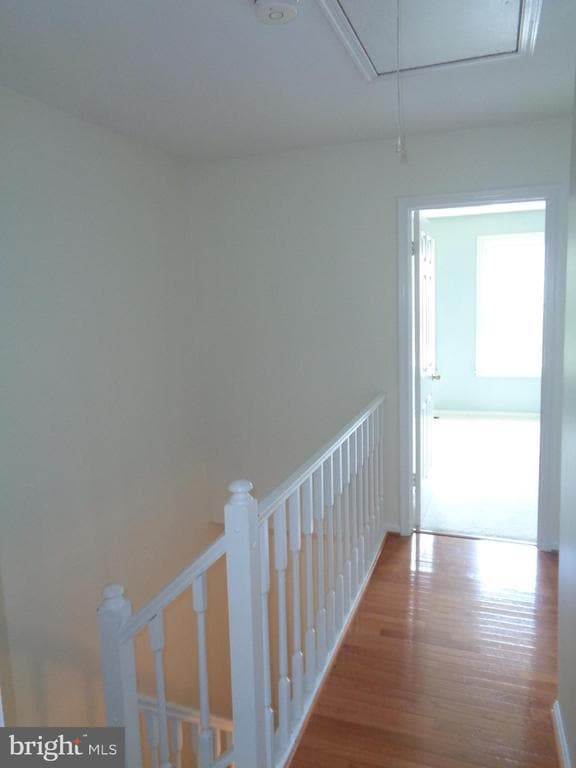 Building Photo - 10 Donagh Ct