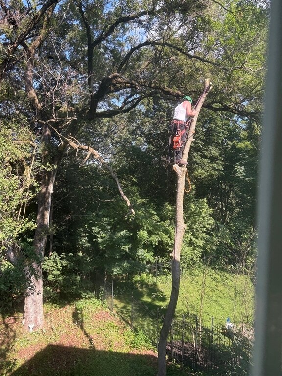 Building Photo - 14 Fairview St