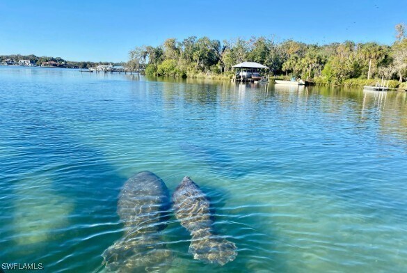 Building Photo - 333 Sunrise Cay