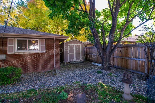 Building Photo - Gorgeous ranch style home in Loveland